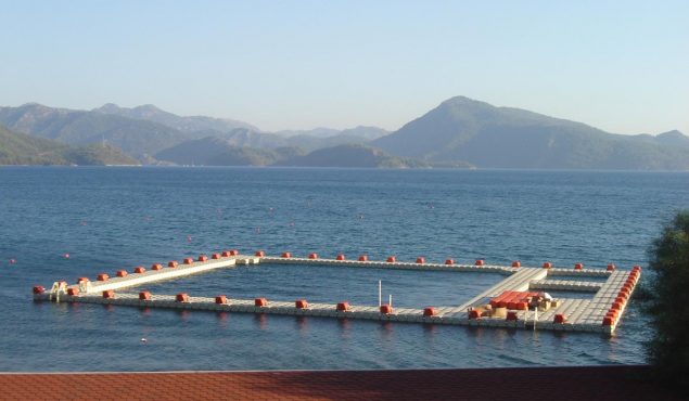 sunny dock at the dolphin teraphy center outdoors