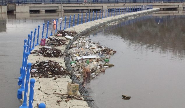 debris caught in barrier