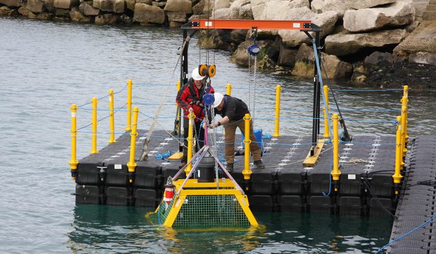 cube pontoon work platform