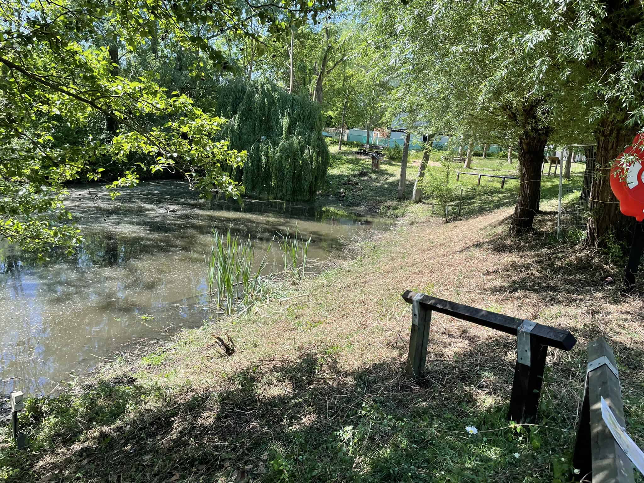 The build site before work began – a shallow pond surrounded by trees, with low wooden barriers